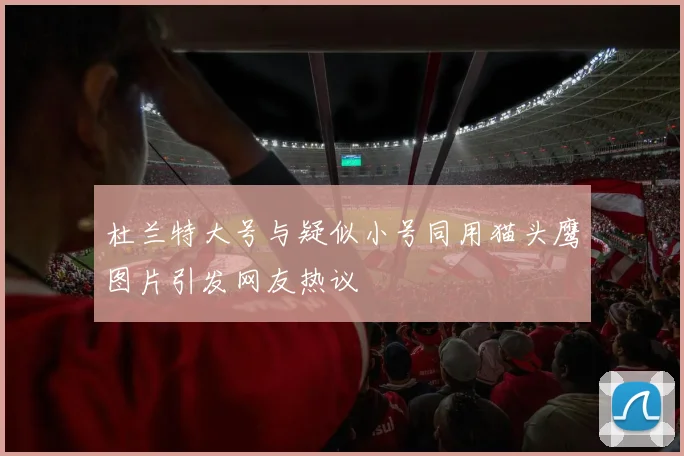 杜兰特大号与疑似小号同用猫头鹰图片引发网友热议