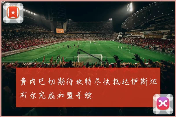 费内巴切期待坎特尽快抵达伊斯坦布尔完成加盟手续